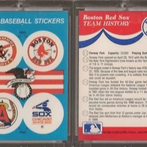 1989 Fleer Team Logo S1.jpg