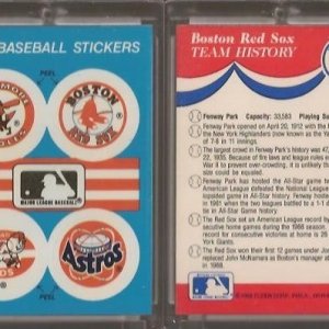 1989 Fleer Team Logo S2.jpg