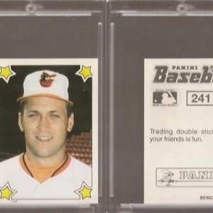 1989 Panini Stickers 241.jpg