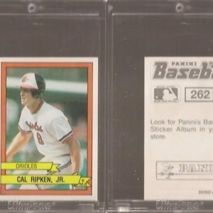 1989 Panini Stickers 262.jpg