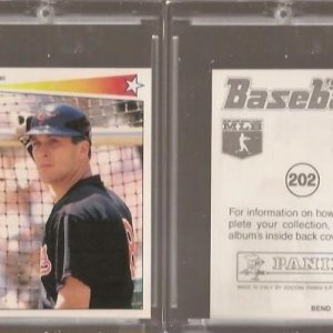 1990 Panini Stickers 202.jpg