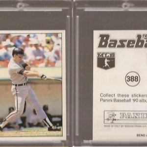 1990 Panini Stickers 388.jpg