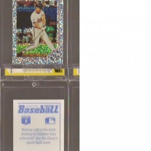 1992 Panini French Stickers 275Foil.jpg