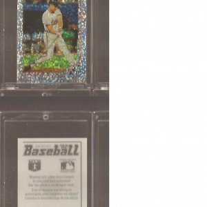 1992 Panini Stickers 275Foil.jpg