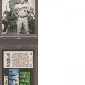 1992 Score 884 DT.Rev.jpg