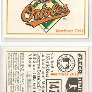 1995 Panini Stickers 147 Team.jpg