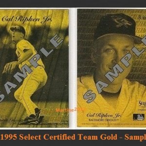 1995 Select Certified Team Gold-Sample.jpg