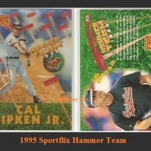 1995 Sportflix Hammer Team.jpg