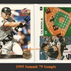 1995 Summit 79Sample.jpg