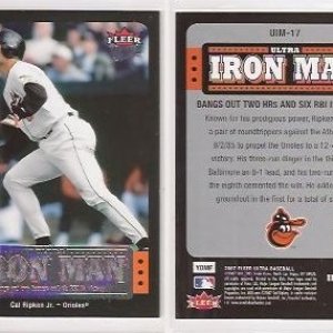 2007 Ultra Iron Man UIM17.jpg