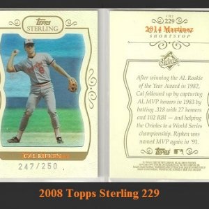 2008 Topps Sterling 229.jpg