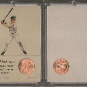 2016 Gypsy Oak - 2007 Penny.jpg