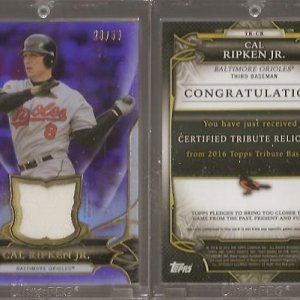 2016 Topps Tribute Relics-Purple.50.jpg
