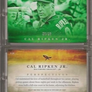 2017 Topps Bunt Perspectives P-CR Green-28.99.jpg