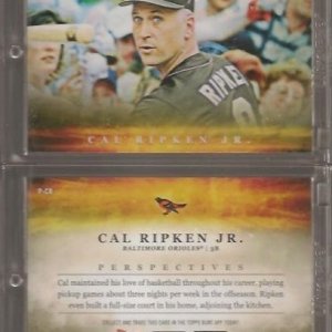 2017 Topps Bunt Perspectives P-CR.jpg