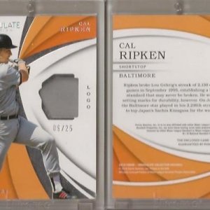 2018 Immaculate Collection Immaculate Swatches IS-CR.25.jpg