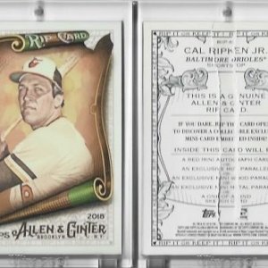 2018 Topps Allen & Ginter Rip Card - Ripped.jpg