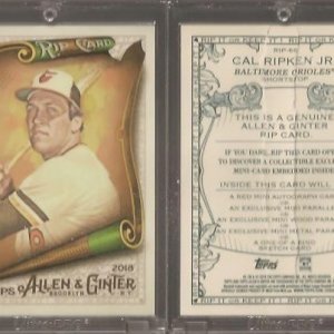 2018 Topps Allen & Ginter Rip Card - Ripped-51.75.jpg