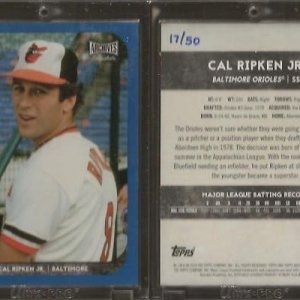 2018 Topps Archives Snapshots-Blue.jpg
