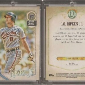 2018 Topps Gypsy Queen 303GQ.jpg