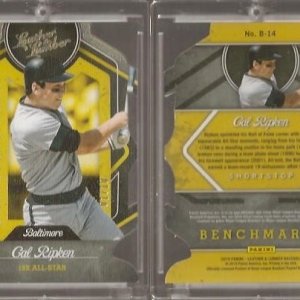 2019 Panini Leather & Lumber Benchnarks Gold-01.10.jpg