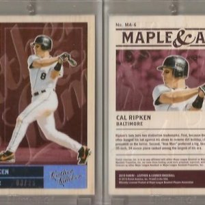 2019 Panini Leather & Lumber Maple & Ash MA-6-03.25.jpg