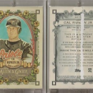 2020 Topps Allen & Ginter Rip Card - Ripped-63.75.jpg