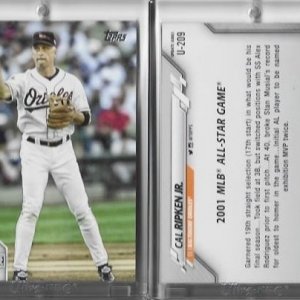 2021 Topps Update U-209.jpg