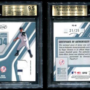 04LeafPC81Platinum.jpg