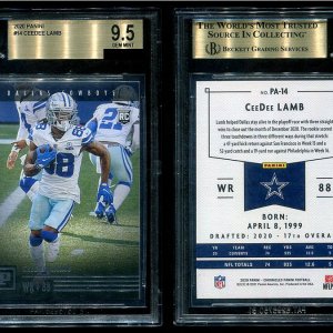 CD-21Panini14.jpg