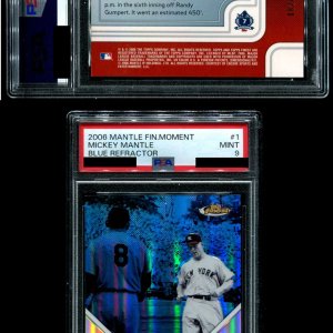 Mantle-06Fin1BlueRef.jpg