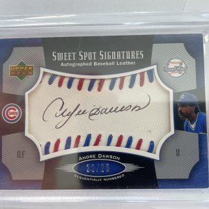 Andre Dawson