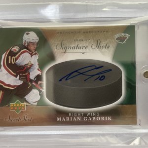 Marian Gaborik