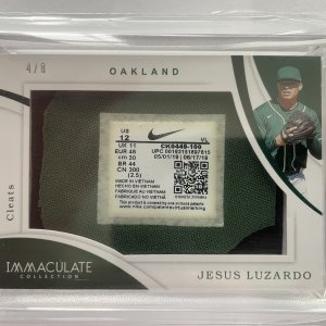 Jesus Luzardo