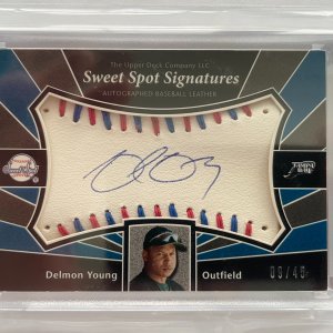 Delmon Young