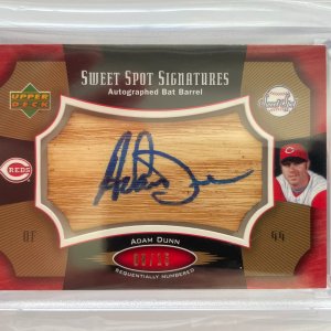 Adam Dunn