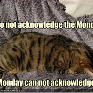 not acknowledge monday1 thumb