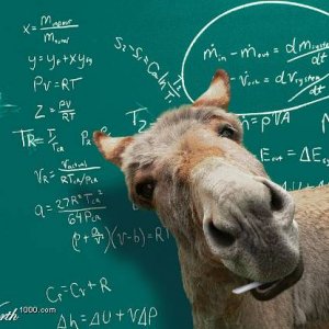 smartass