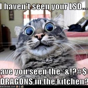 lsd
