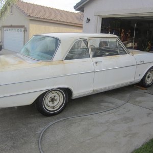 ebay pics 428