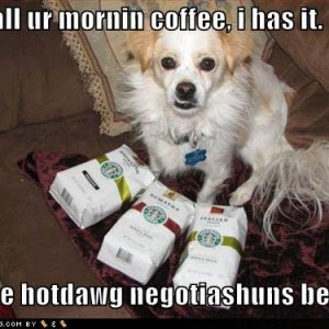 funny dog pictures hotdog negotiations