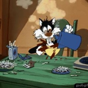funny gifs first morning cup of coffee
