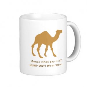 camel