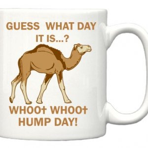 camel2
