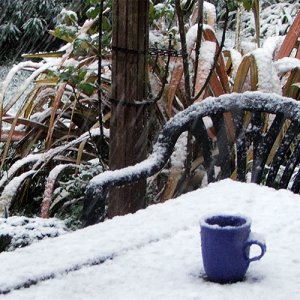 snow blue cup