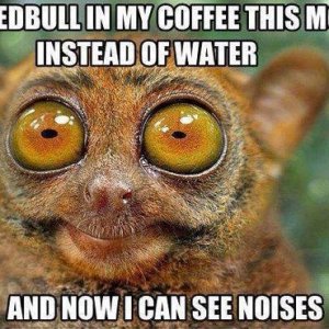 monday coffee noises
