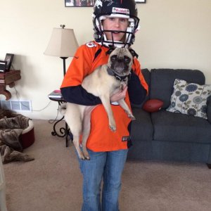 Bailey pug was holding my helmet up for me