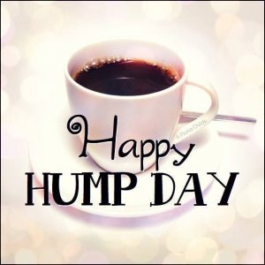 happy hump day