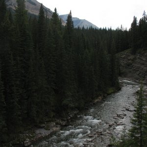 IMG 7420
