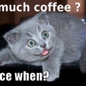 Too much coffee